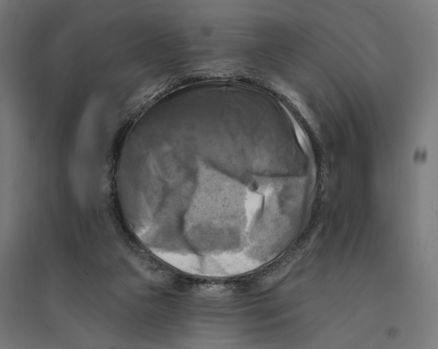 X0000094420161200712061059