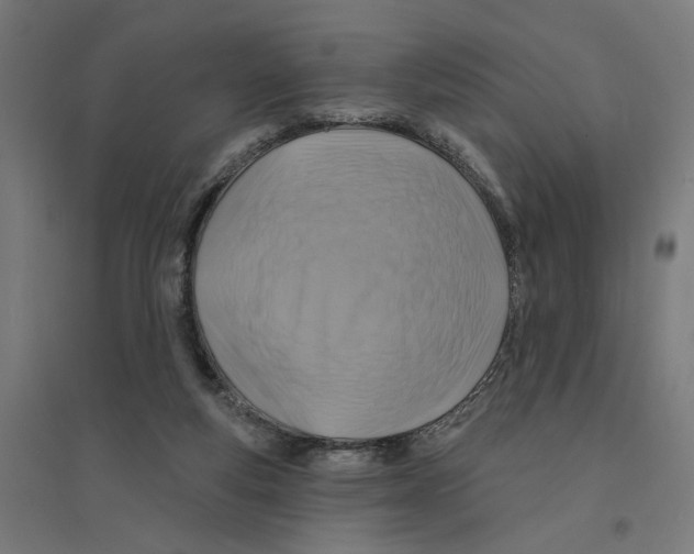 X0000094420163200712061059