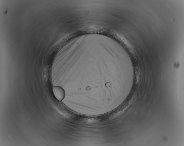 X0000094420165200712061059