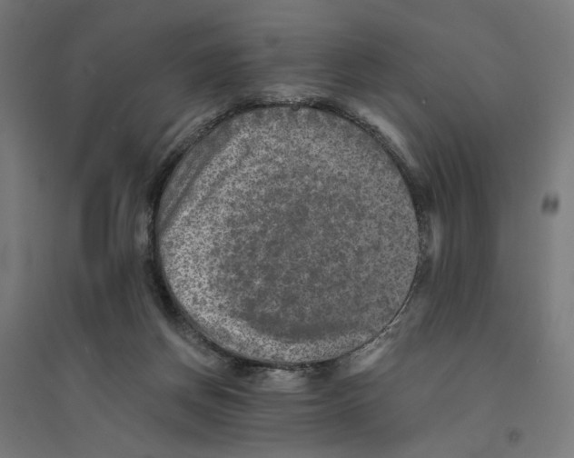 X0000094420166200712061059