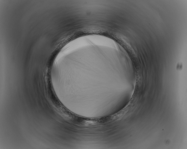 X0000094420167200712061059