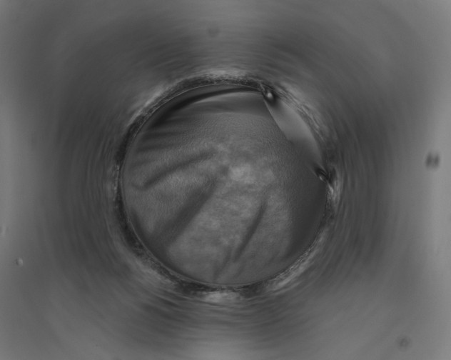 X0000094420168200712061059