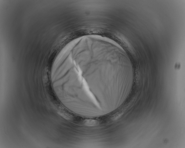 X0000094420169200712061059