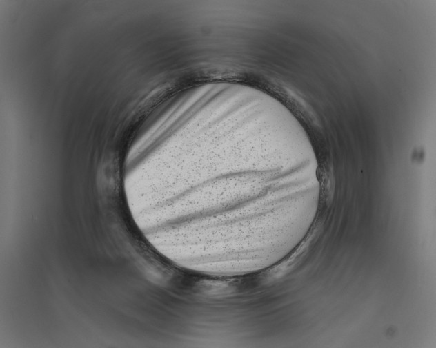 X0000094420170200712061059