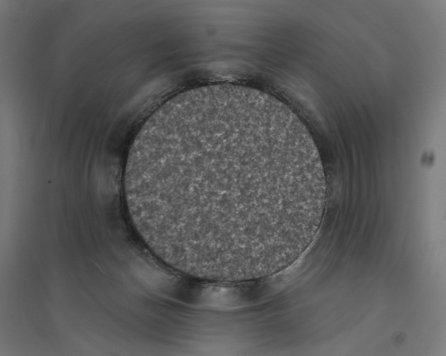 X0000094420174200712061059