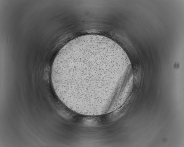 X0000094420175200712061059