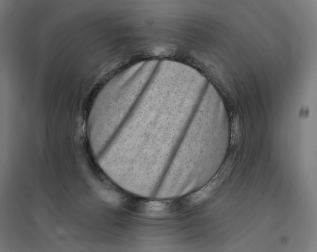 X0000094420176200712061100