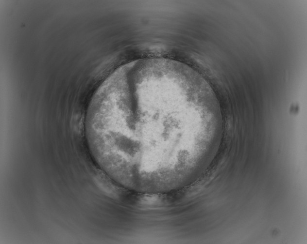 X0000094420177200712061100