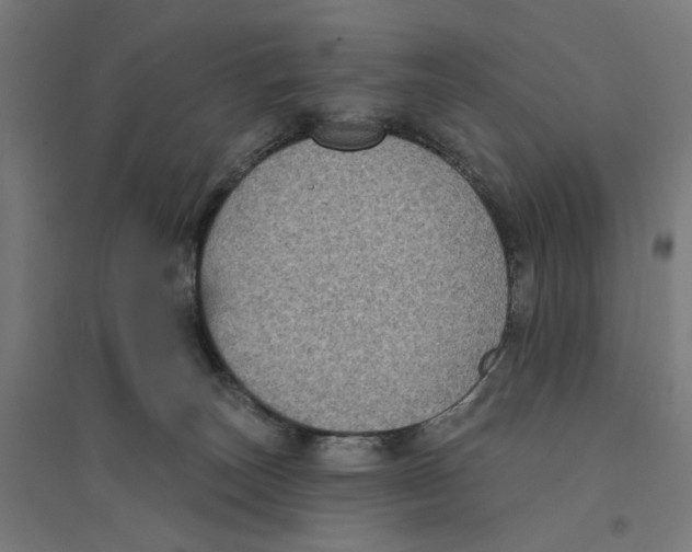 X0000094420179200712061100