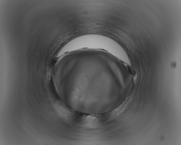 X0000094420180200712061100