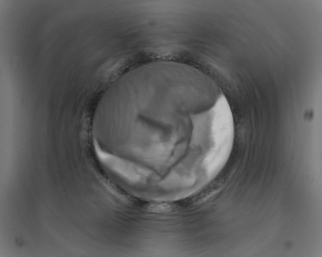 X0000094420181200712061100