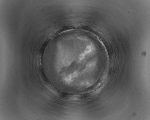 X0000094420182200712061100