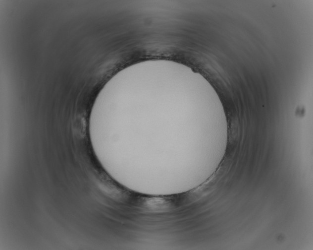 X0000094420183200712061100