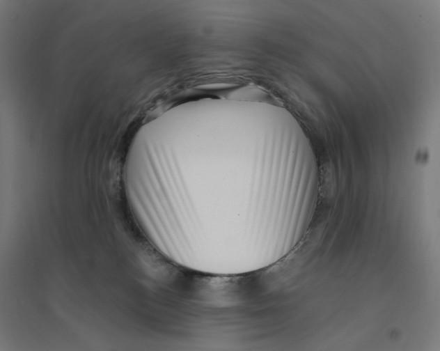 X0000094420184200712061100