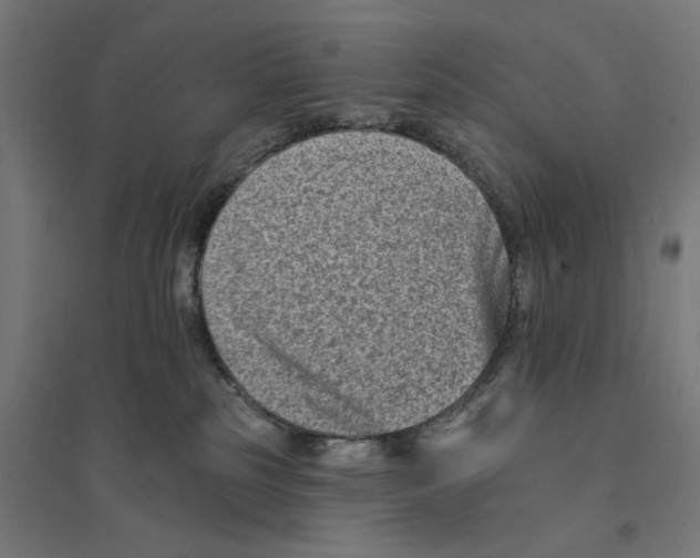 X0000094420185200712061100