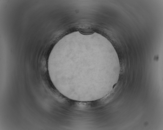 X0000094420187200712061100