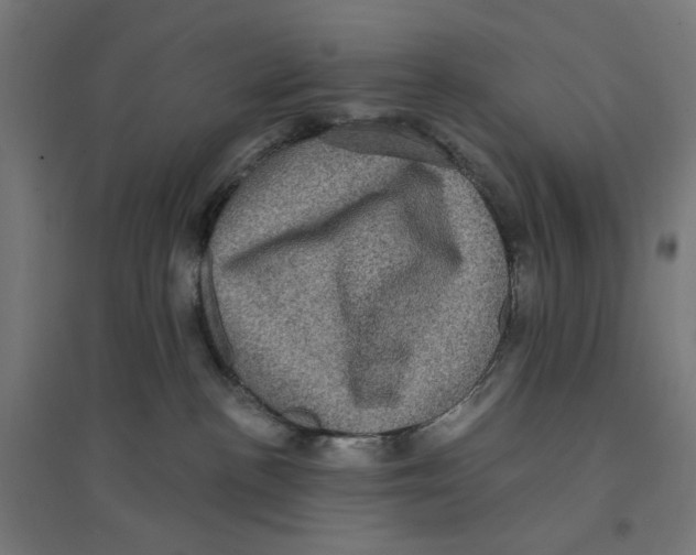 X0000094420188200712061100