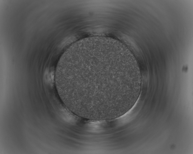 X0000094420190200712061100