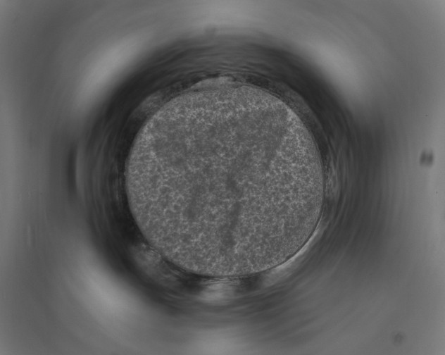 X0000094420191200712061100