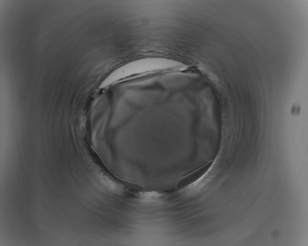 X0000094420192200712061100