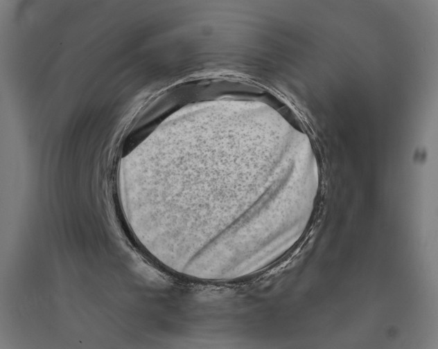 X0000094420193200712061059