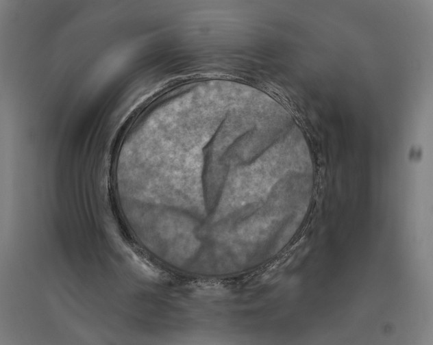 X0000094420194200712061059