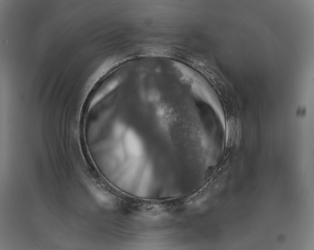 X0000094420195200712061059