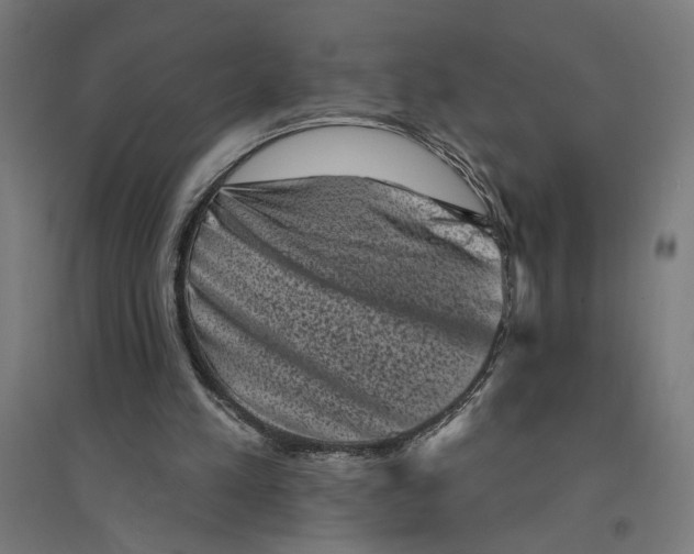 X0000094420197200712061059