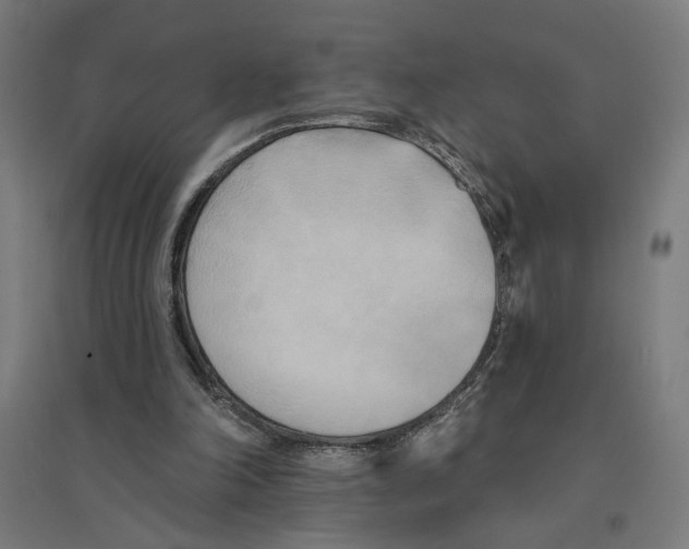 X0000094420198200712061059