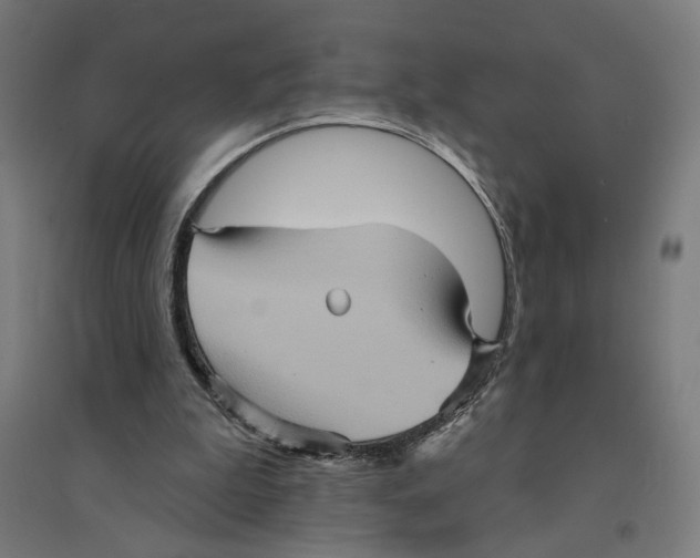 X0000094420199200712061059