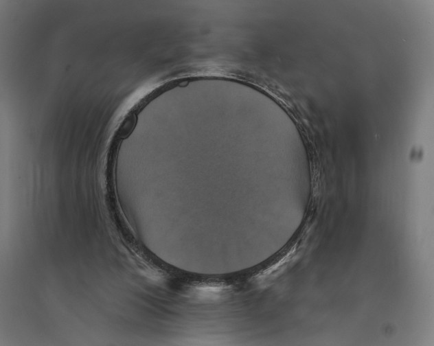 X0000094420200200712061059