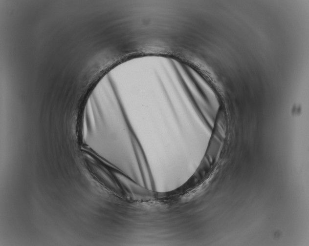 X0000094420201200712061059