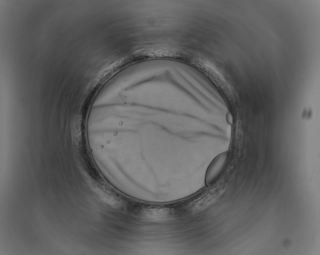 X0000094420202200712061059