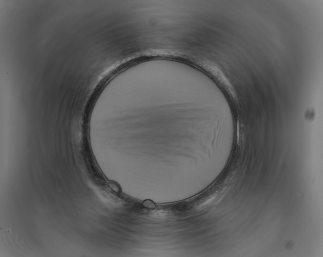 X0000094420204200712061059