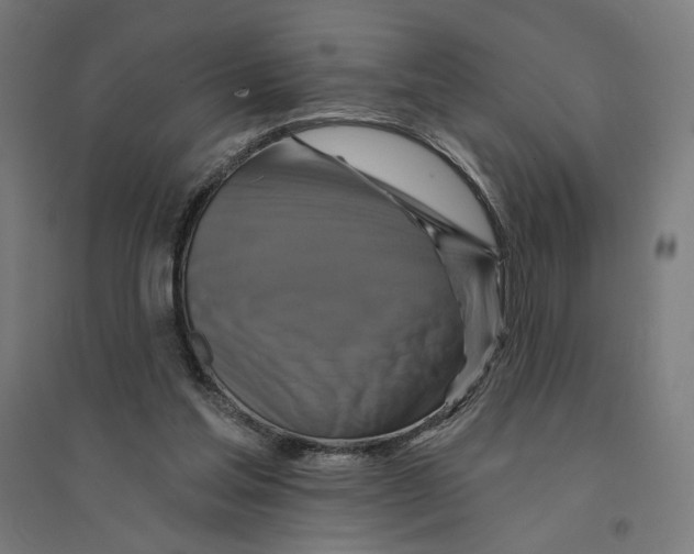 X0000094420205200712061059