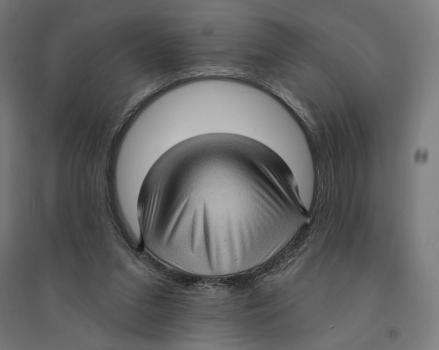 X0000094420207200712061059