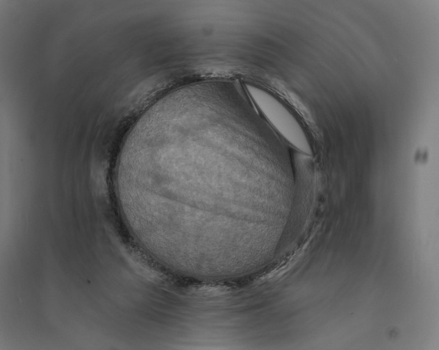 X0000094420209200712061059