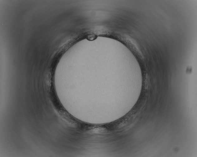 X0000094420210200712061059