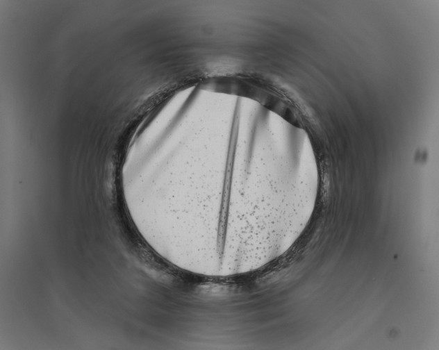 X0000094420211200712061059