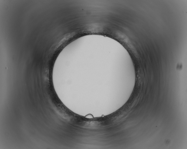 X0000094420212200712061059