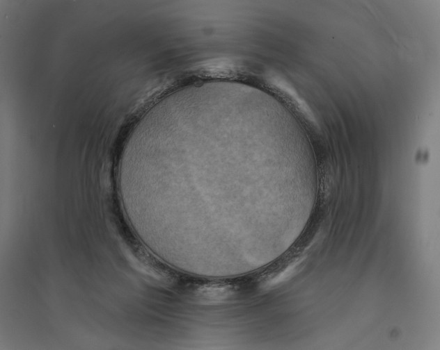 X0000094420213200712061059