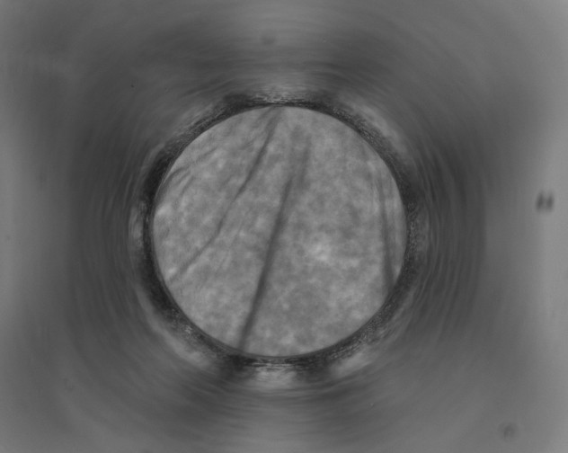 X0000094420214200712061059