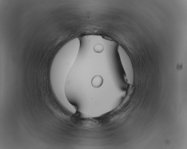 X0000094420215200712061059