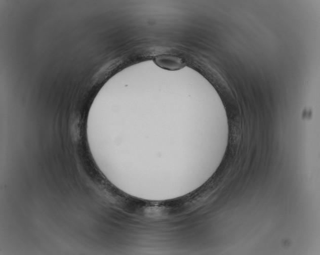 X0000094420216200712061059