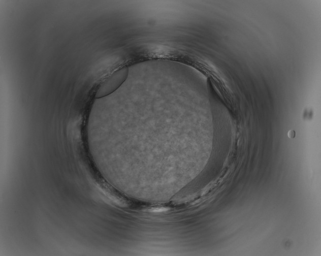 X0000094420217200712061059