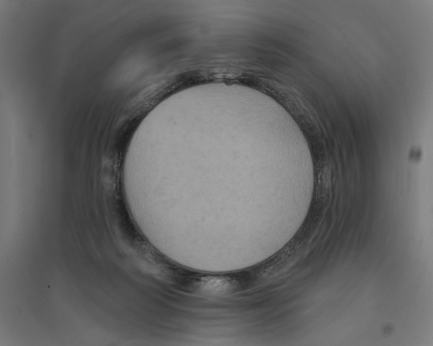 X0000094420218200712061059