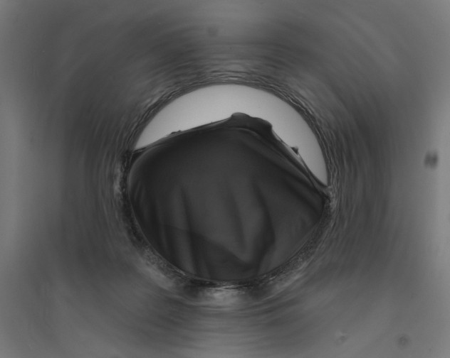 X0000094420219200712061059