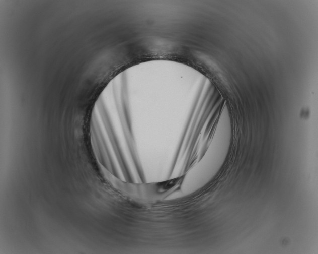 X0000094420221200712061059