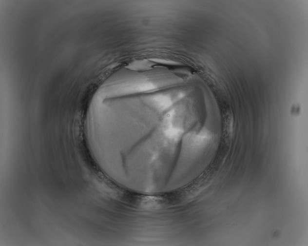 X0000094420222200712061058