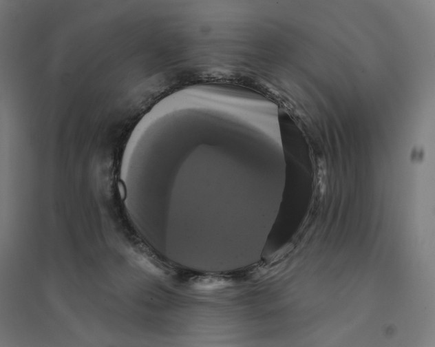 X0000094420223200712061058